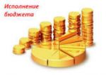 Внешняя проверка отчетов об исполнении бюджетов за 2021 год